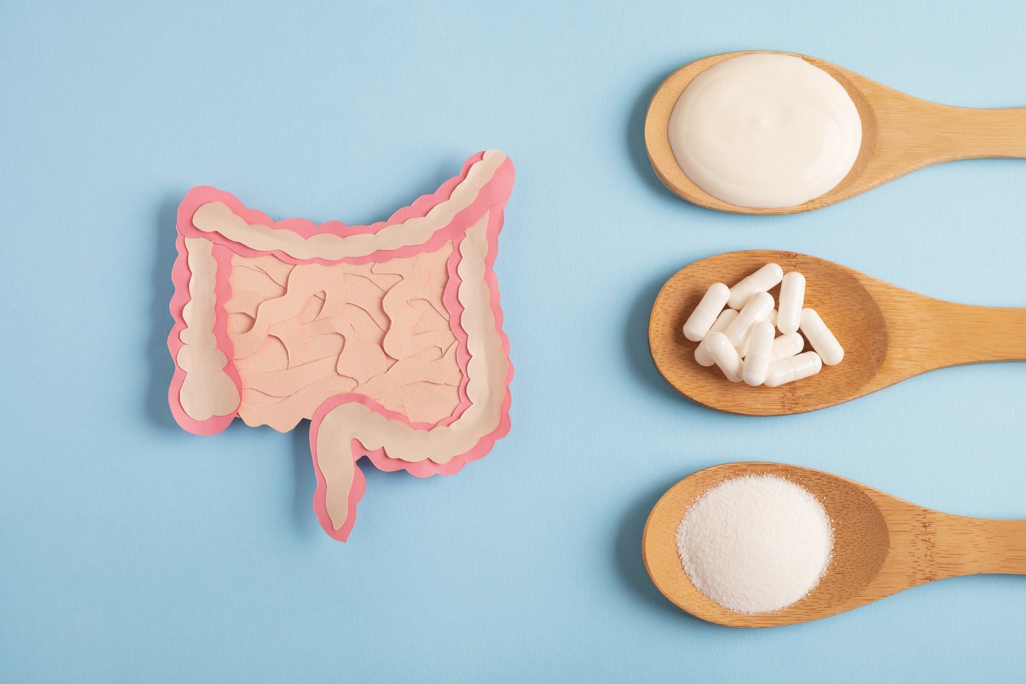 Paper cutout of the intestines and spoons of probiotic supplements