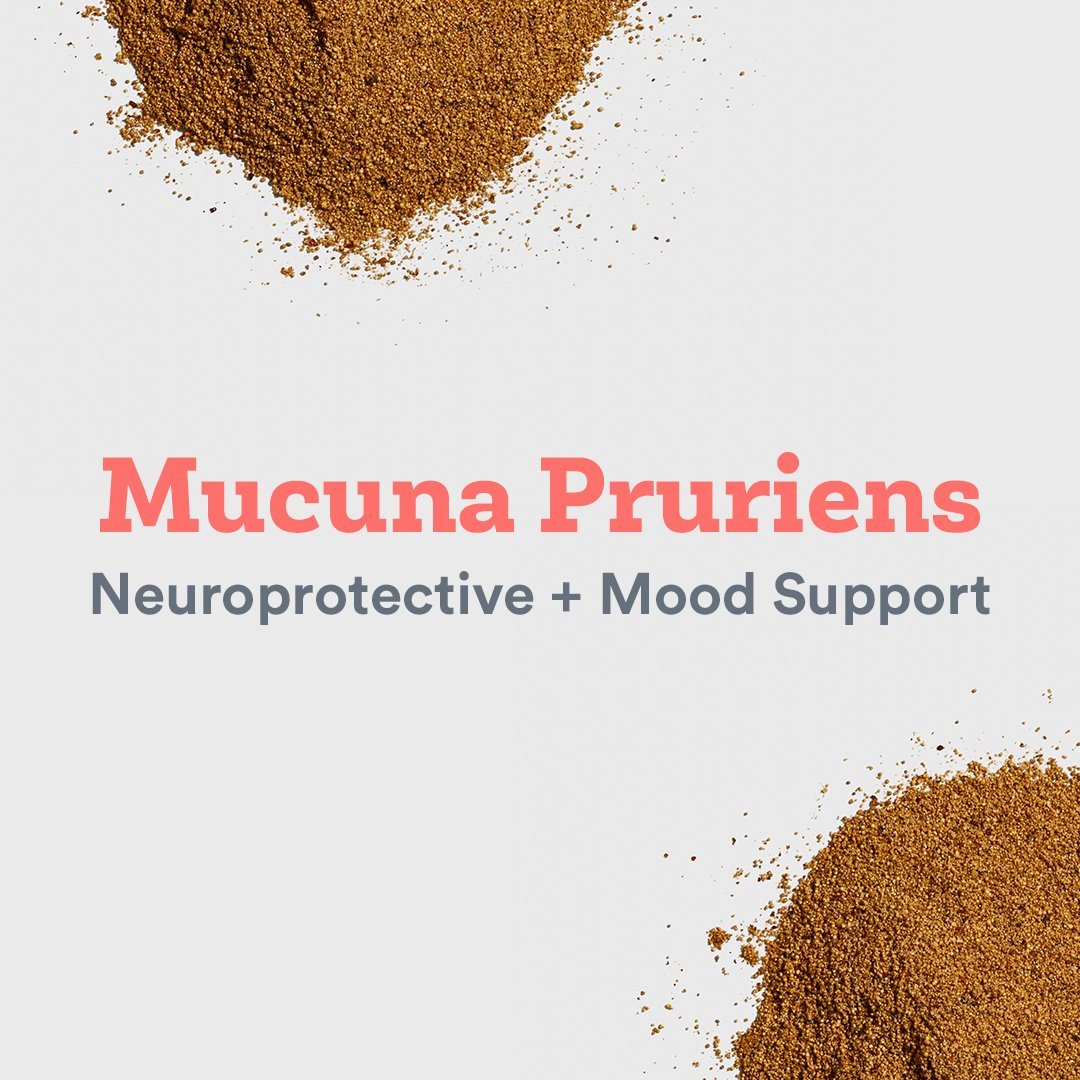 Top Health Benefits of Mucuna Pruriens