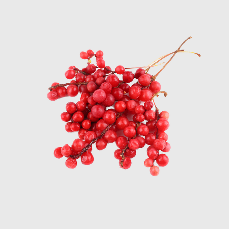 Schisandra Berry