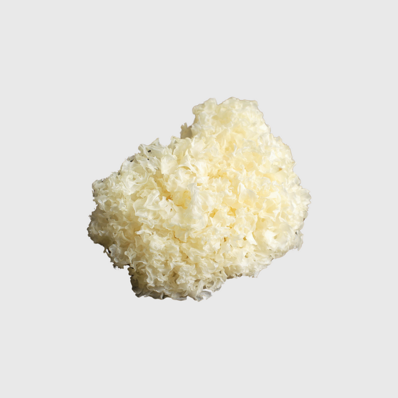 Tremella Mushroom