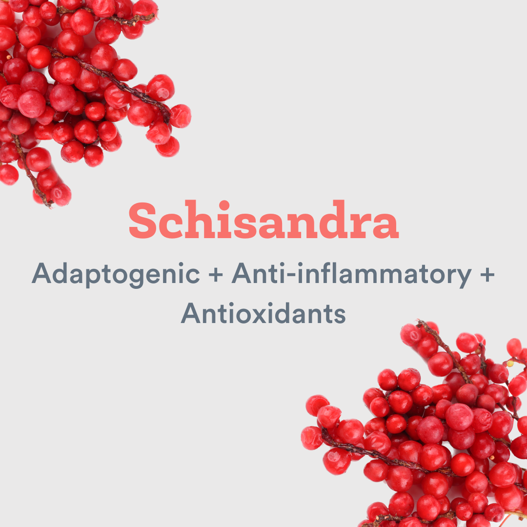 Top Health Benefits of Schisandra