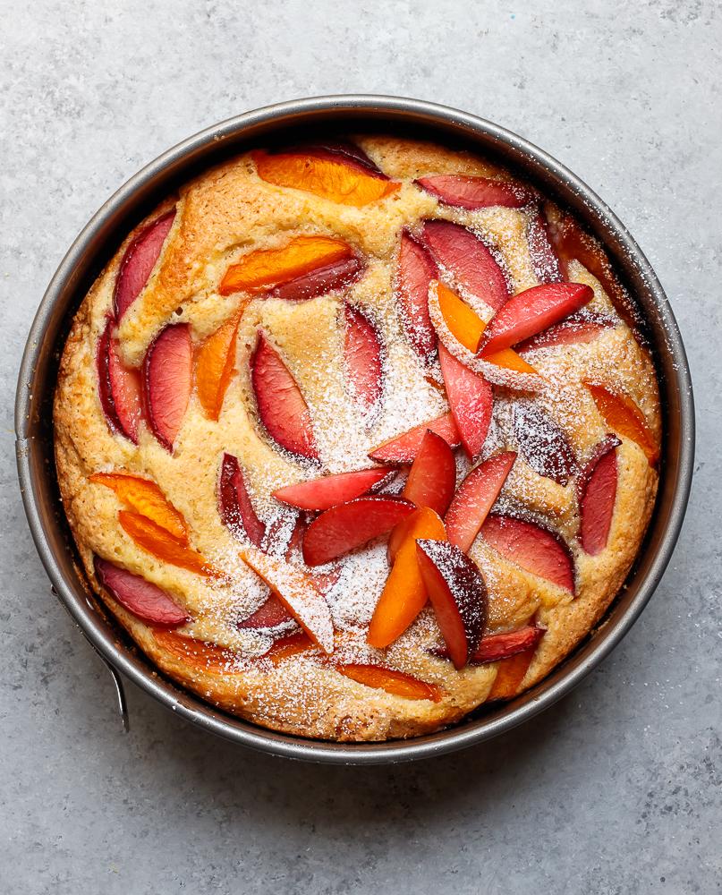 Aerial shot of a plum and apricot cake in a baking pan sprinted with icing sugar. 