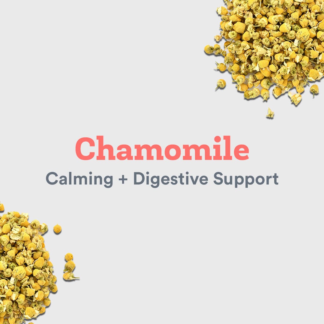 Top Health Benefits of Chamomile