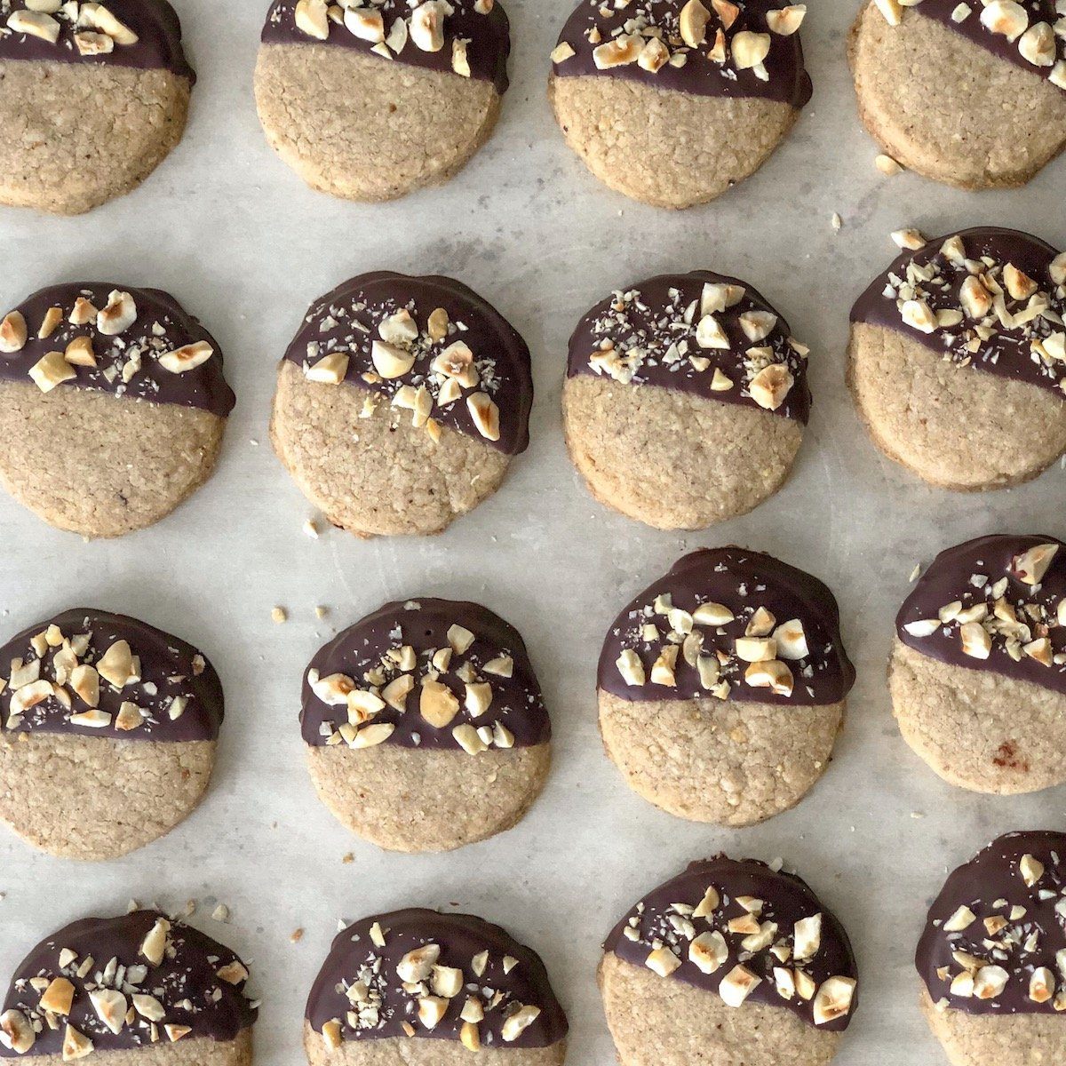 hazelnut shortbread cookies dipped in chocolate and garnished with crushed hazelnuts