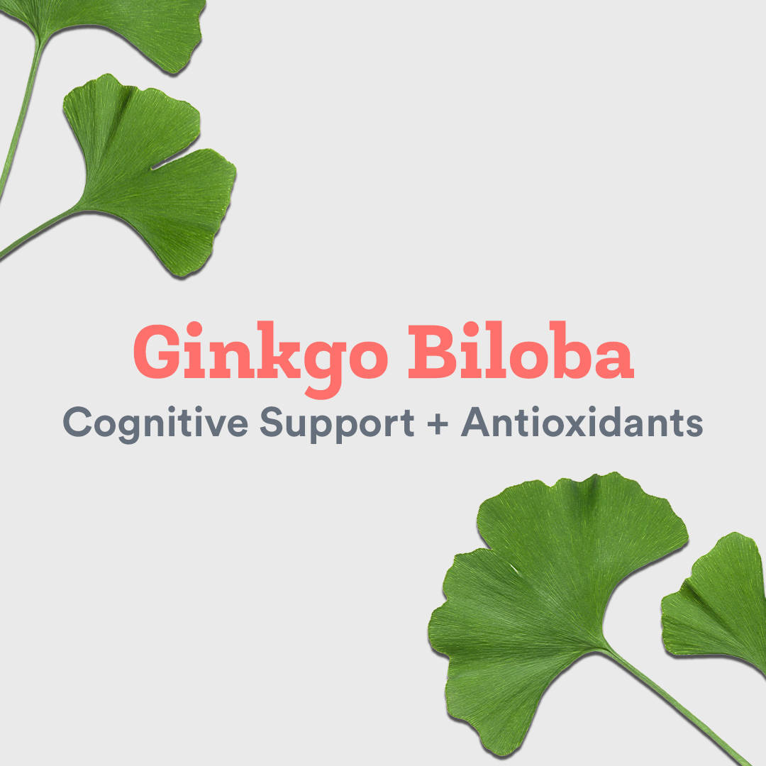 Image of Ginkgo leaves with text "Ginkgo Biloba; Cognitive Support"