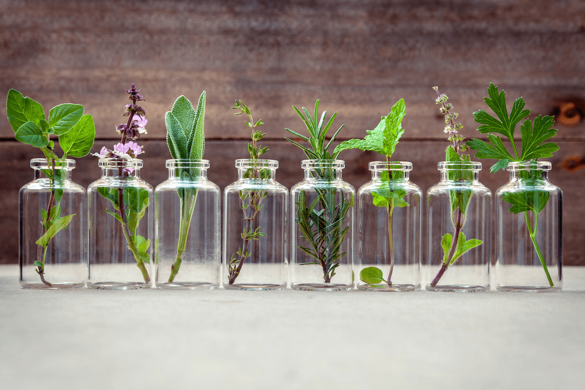 A line of glass jars holding sprigs of herbs like sage, basil, rosemary, thyme, parsley, mint, and thyme against a wooden backdrop.