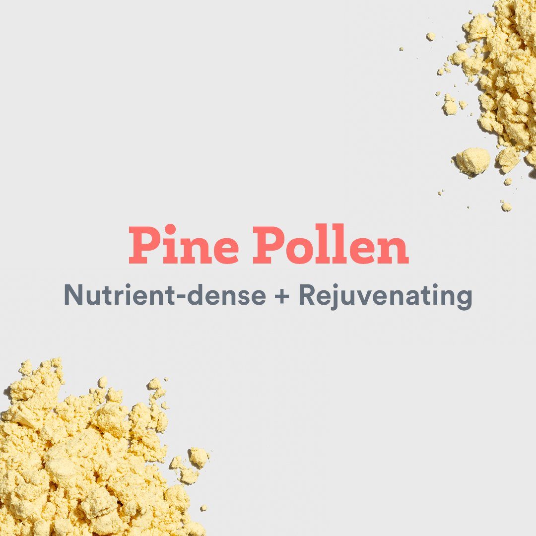 Pine pollen: nutrient-dense and rejuvenating