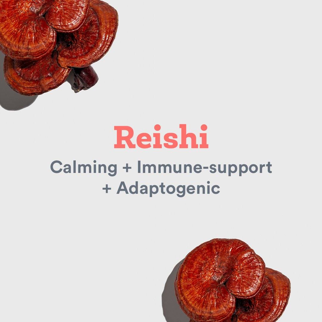 Top Health Benefits of Reishi Mushroom – JOYÀ