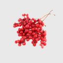 Schisandra Berry

        