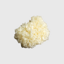 Tremella Mushroom

        
